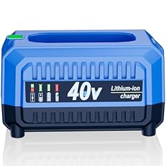 Surpowtec volt charger for sale  Delivered anywhere in USA 