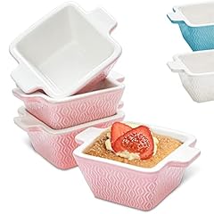 Praknu souffle förmchen gebraucht kaufen  Wird an jeden Ort in Deutschland