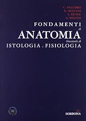 Fondamenti anatomia. lineament usato  Spedito ovunque in Italia 
