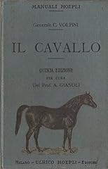 Cavallo cavallo nell usato  Spedito ovunque in Italia 