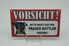 Ratier prague animaux d'occasion  Livré partout en Belgiqu
