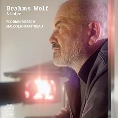 Brahms wolf lieder usato  Spedito ovunque in Italia 