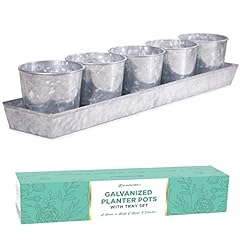 Scandinordica galvanized herb for sale  Delivered anywhere in USA 