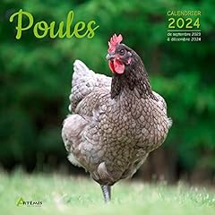 Calendrier 2024 poule d'occasion  Livré partout en France