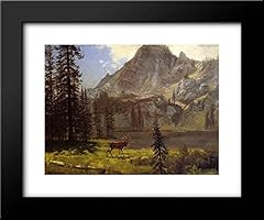 Call wild 24x20 for sale  Delivered anywhere in USA 