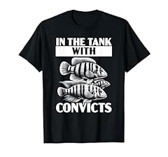 Convict cichlids fish for sale  Delivered anywhere in USA 
