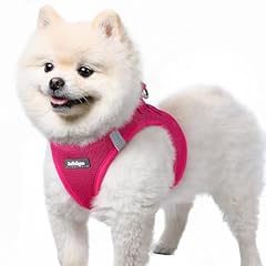 Rabbitgoo dog harness for sale  Delivered anywhere in UK