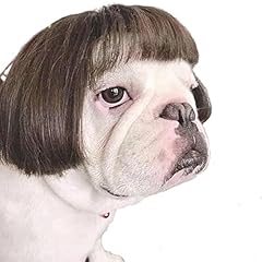 Tessveya funny dog for sale  Delivered anywhere in USA 