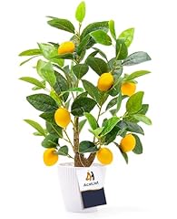 Acelist fake lemon for sale  Delivered anywhere in USA 