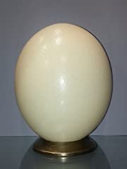 Natural ostrich eggs for sale  Delivered anywhere in UK