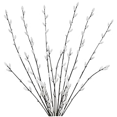 Pussy willow branches for sale  Delivered anywhere in USA 