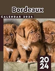 Dogue bordeaux 2024 for sale  Delivered anywhere in UK