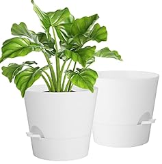 Idealife pots plantes d'occasion  Livré partout en France