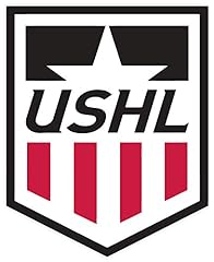 Ushl sticker decal for sale  Delivered anywhere in USA 