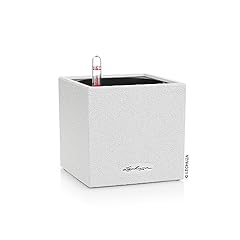Lechuza canto stone d'occasion  Livré partout en France