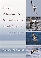 Petrels albatrosses storm for sale  Delivered anywhere in UK