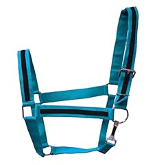Equitem draft horse for sale  Delivered anywhere in USA 