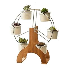 Linglan succulent planter for sale  Delivered anywhere in Ireland