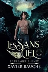 Ciel fils déchus d'occasion  Livré partout en France