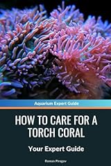 Care torch coral for sale  Delivered anywhere in USA 