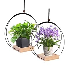 Pack plant hanger for sale  Delivered anywhere in USA 