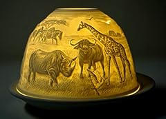 Cbk dome light gebraucht kaufen  Wird an jeden Ort in Deutschland