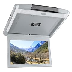 Monitor soffitto per usato  Spedito ovunque in Italia 