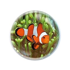 Magnidome clown fish for sale  Delivered anywhere in UK