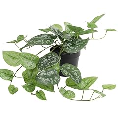 Blooming artificial faux for sale  Delivered anywhere in UK
