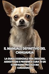 Manuale definitivo del usato  Spedito ovunque in Italia 