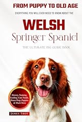 Ultimate welsh springer for sale  Delivered anywhere in UK