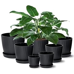 Gardrium lot pots d'occasion  Livré partout en France