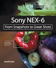 Sony nex from usato  Spedito ovunque in Italia 
