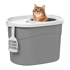 Iris usa cat for sale  Delivered anywhere in USA 