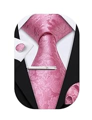 Barry.wang set cravatte usato  Spedito ovunque in Italia 