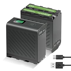 Palogreen 9600mah f970 gebraucht kaufen  Wird an jeden Ort in Deutschland