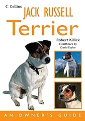 Jack russell terrier d'occasion  Livré partout en Belgiqu