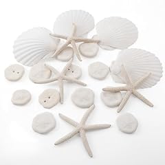 Jqaqju 20pcs sea for sale  Delivered anywhere in USA 