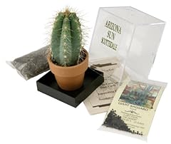 Grow saguaro cactus for sale  Delivered anywhere in USA 