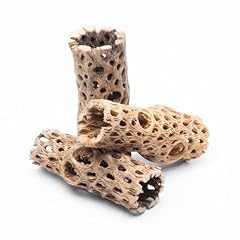 Substratesource natural cholla for sale  Delivered anywhere in USA 