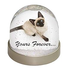 Siamese cat forever for sale  Delivered anywhere in UK