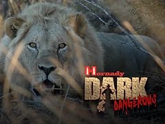 Hornady dark dangerous for sale  Delivered anywhere in USA 