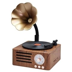 Dishengzhen mini grammofono usato  Spedito ovunque in Italia 