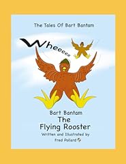 Bart bantam flying for sale  Delivered anywhere in USA 