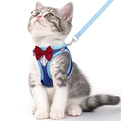 Ncmama cat vest for sale  Delivered anywhere in USA 