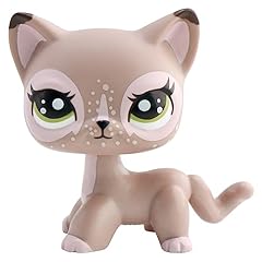 Fftyaopb mini pet for sale  Delivered anywhere in UK