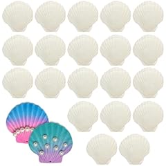 Szyljsy lot coquillages d'occasion  Livré partout en France