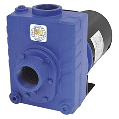Ipt cast iron for sale  Delivered anywhere in USA 