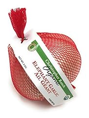 Garlic elephant organic for sale  Delivered anywhere in USA 