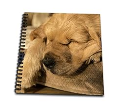 Drawing book inch for sale  Delivered anywhere in USA 